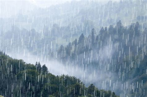 夢見落大雨|夢見雨、下雨、暴雨